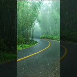 Beautiful Road #shorts