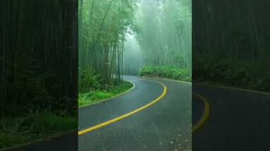 Beautiful Road #shorts