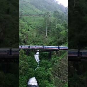 Cinematic Nature With Train #shorts