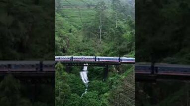 Cinematic Nature With Train #shorts