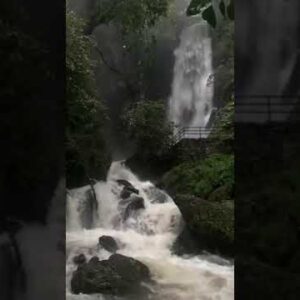WATERFALLS #shorts