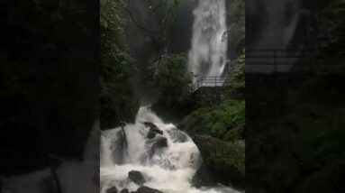WATERFALLS #shorts